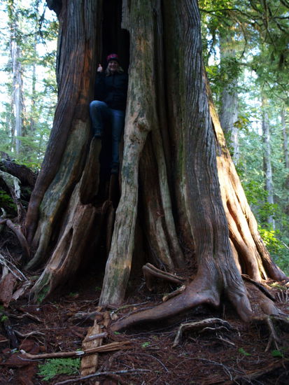kleine Vreni, großer Baum..