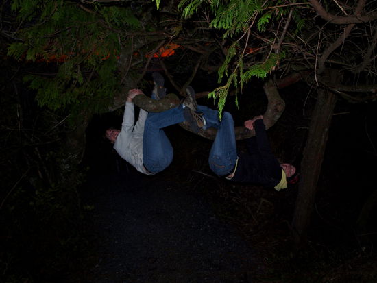 Crazy Monkeys in the trees, Jessica and me