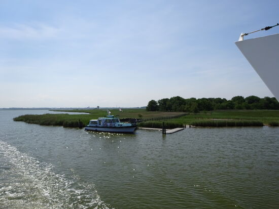 Durch die Boddenlandschaft, fast alles Naturschutzgebiet, geht's Richtung Zingst