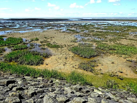 Und das "WATT" war auch da