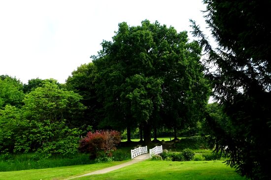 Auf solchen Wegen geht's durch den Schlosspark. Leider sind die vielen Rhododendren bereits verblüht