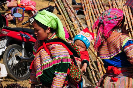 Nur 2 Fotos von vielen