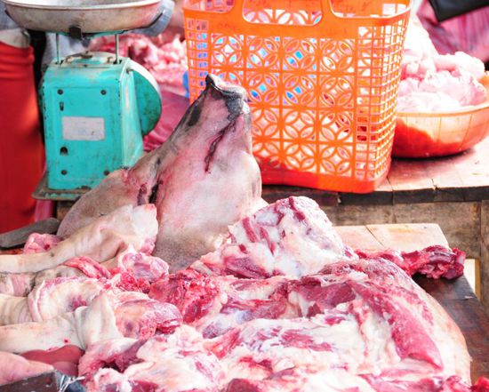 Schwein, Schwein und noch mehr Schwein!