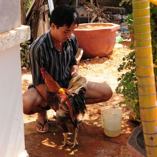Badetag für den Hahn