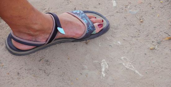 Das weisse sind alles Knochenstücke