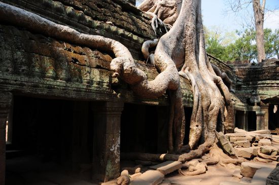 Ta Prohm