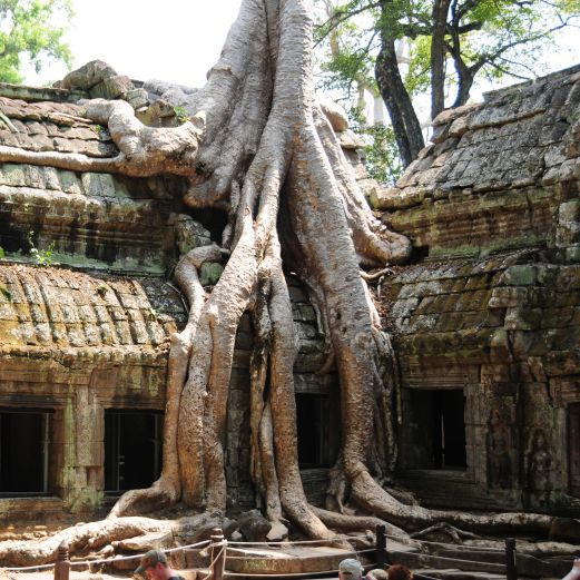 Ta Prohm