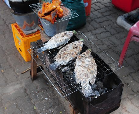 Der größte Fisch war für uns