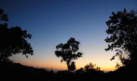 Abendrot über dem Dschungel