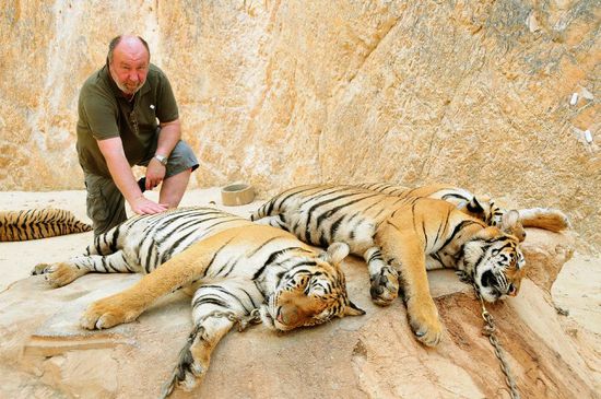 Ein wenig komisch.....