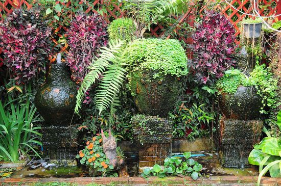 Orchideengarten Chiang Mai