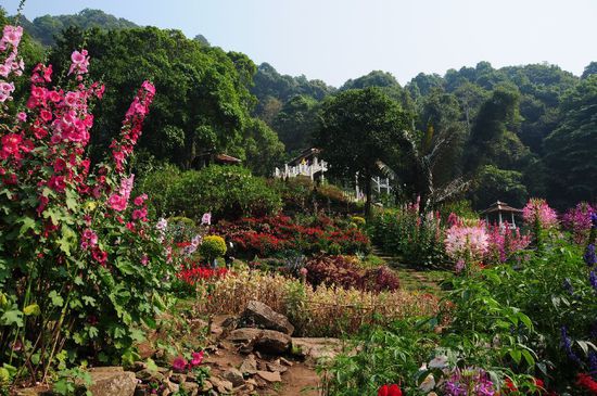 Garten mit Mohnanbau für die Touris