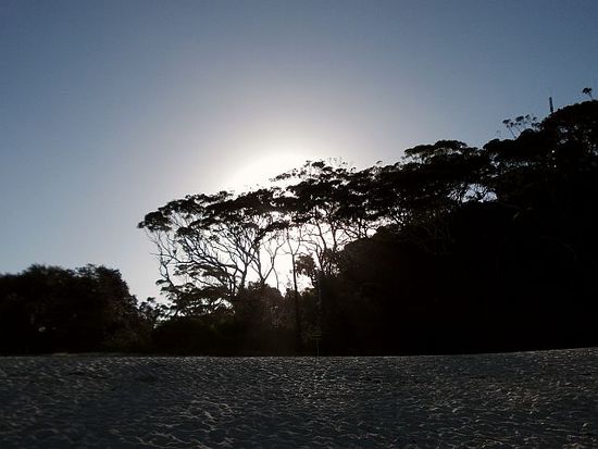 Nelson Bay
