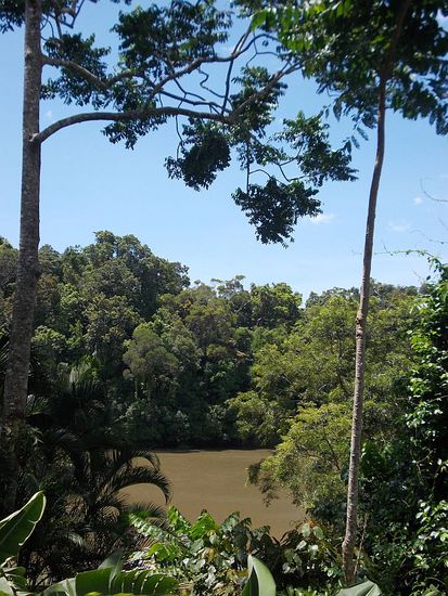 Blick auf den River, Cruises momentan eingestellt