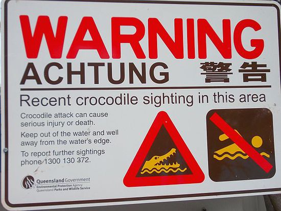 Leider keinem Croc begegnet