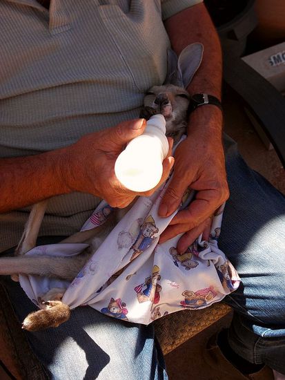 Alle 4 Stunden gibts die Flasche