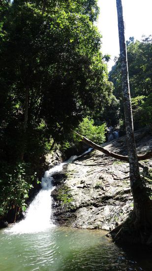 In den einzelnen Becken kann gebadet werden