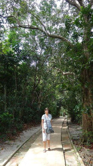 So gepflegt gings anfang los....