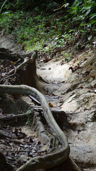 ....ab da war dann für uns mit unseren "Schlappen" sowieso Ende