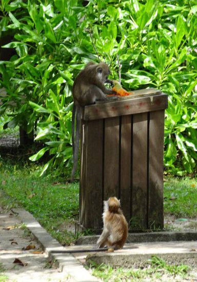 .....und den Inhalt nach Essbarem durchsucht