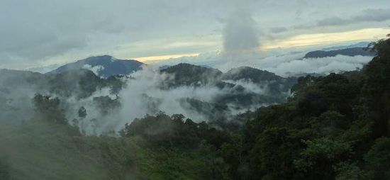 Schon in den Cameron Highlands