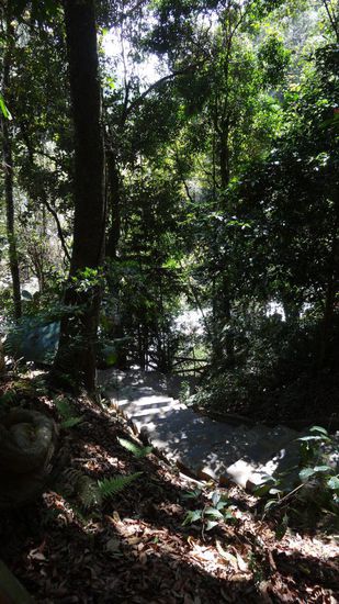 Das waren die letzten Stufen hinunter zum Datanla Waterfall