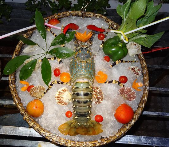 Lobster, appetitlich dekoriert, gut dass wir keinen Hunger hatten