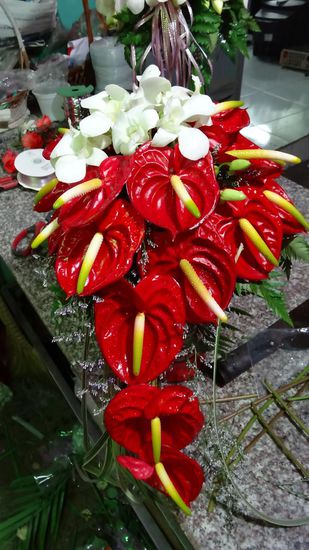 .......in dem Kunstwerke gesteckt werden