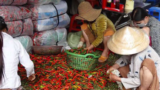 Auf dem Bürgersteig werden Chilischoten sortiert