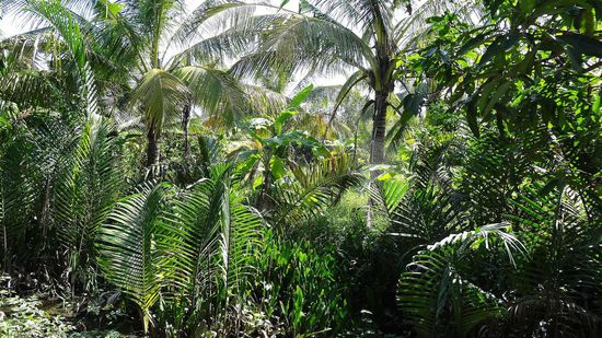 Hinter den Häusern, Ruhe, ..........