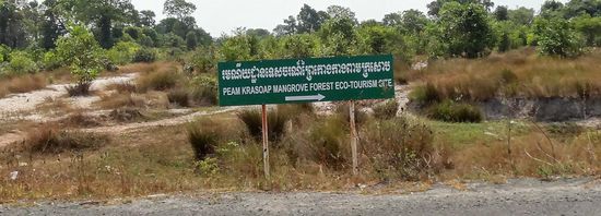 .....Peam Krasoap Mangrove Forest