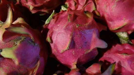 Dragon-Fruit