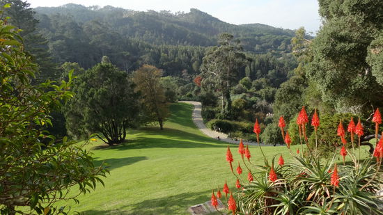 Ein Blick über den weitläufigen Park 