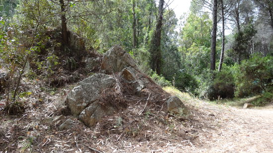 Über mehrere km Waldwege geht es zu den insgesamt 5 Buchten