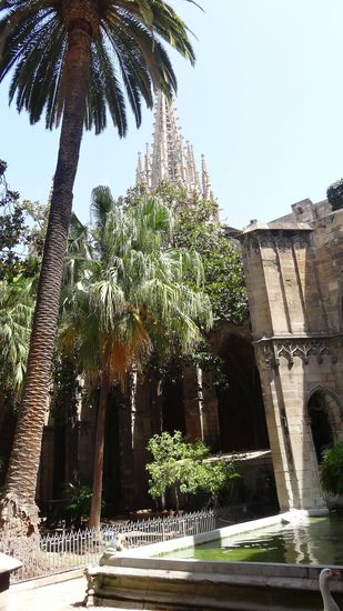 Blick aus dem Innenhof auf die Kathedrale