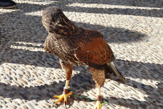 Keine Chance von vorne, wollte er wohl nicht...