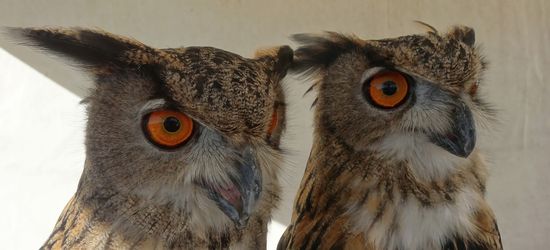 ....diese schon, sind ganz still sitzengeblieben