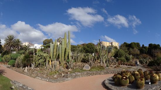 Paloma Park, mit vielen Bänken, Kakteengarten.......