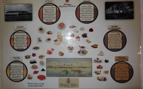 Auf jedem runden Kreis war der jeweilige Sherry plaziert.....