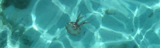 Glasklares Wasser überall auf dieser Tour