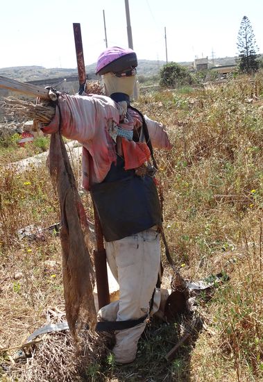 .....und dieser "handgearbeiteten" Vogelscheuche vorbei!