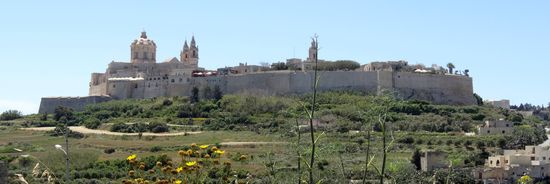 ...und aus dem Fun Train heraus