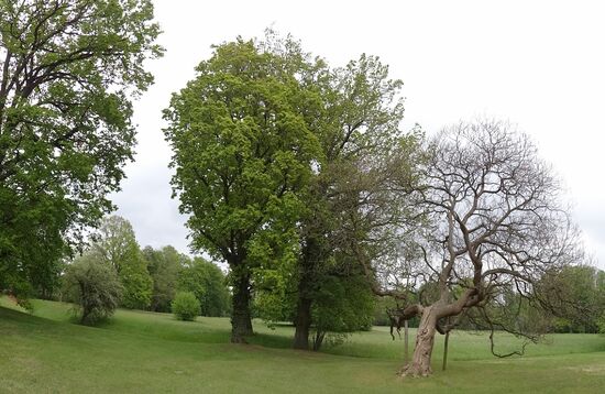 Park Schloß Branitz