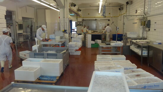 Ein ganzes Stück in die andere Richtung, kann man durch Scheiben beim zuschneiden und verpacken des Frischfisches in einer Fischhalle zusehen