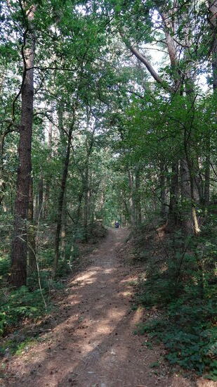 Blick oben vom Berg auf den Wanderer, ganz klein, in der Mitte