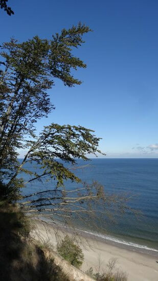 Blick von der Steilküste