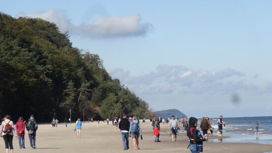 Viele unterwegs, hier am Strand oder ...