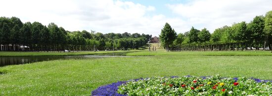 Blick in den Schlossgarten