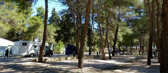 Bei den Bäumen hatte unser Satfinder keine Chance