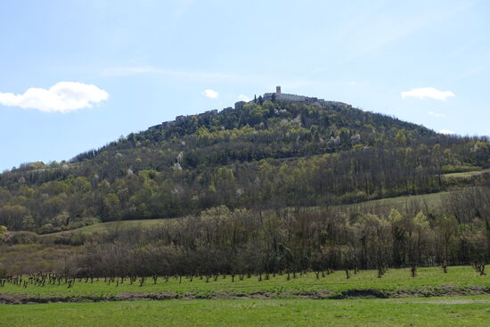 Motovun